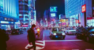 Insights into the history, culture and creativity of Sri Lanka - Explore the Cultural Triangle