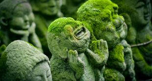 What You Can See During India Religious Tour - An Experience You Will Cherish For Life!